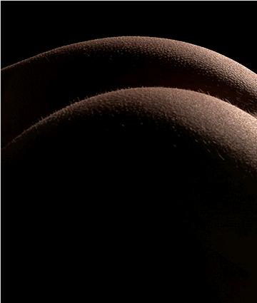 “Buttocks” by Paulo Brandao (Creative Commons)