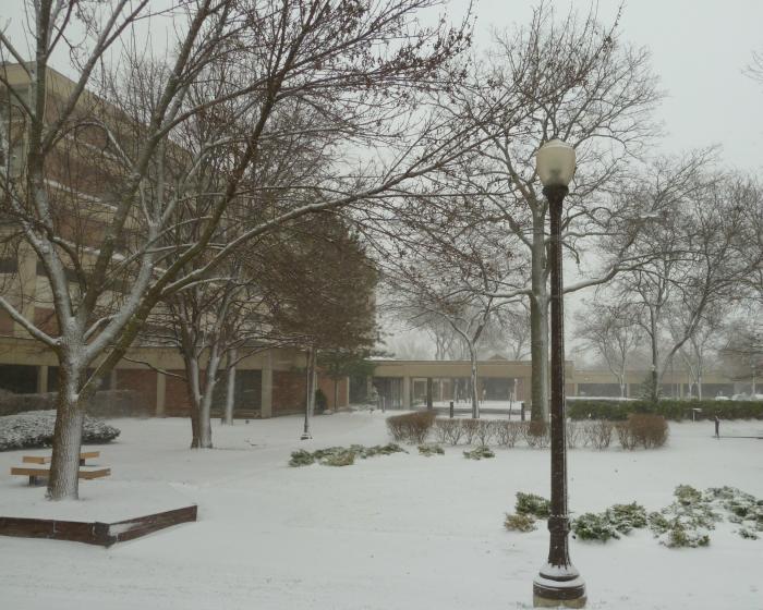 Snowy Courtyard