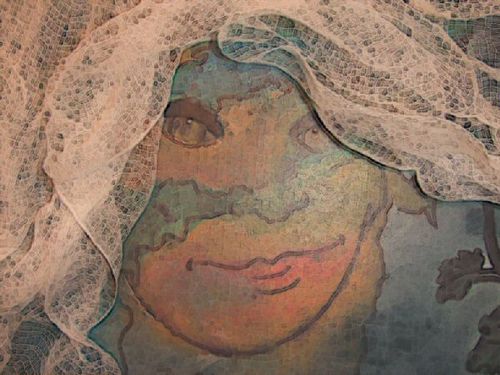 lifting the veil